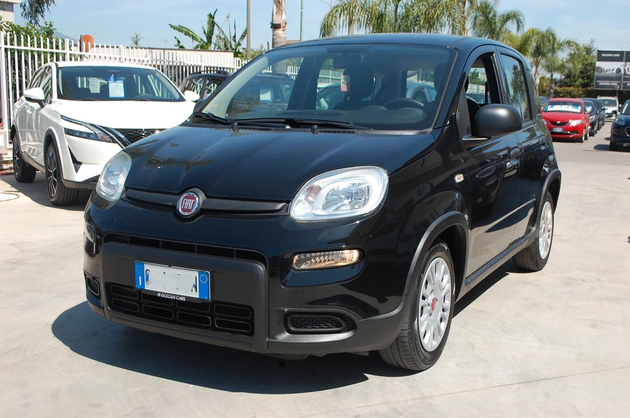 Fiat Panda 1.0 firefly hybrid 70CV S&S Uff Italy Clima City