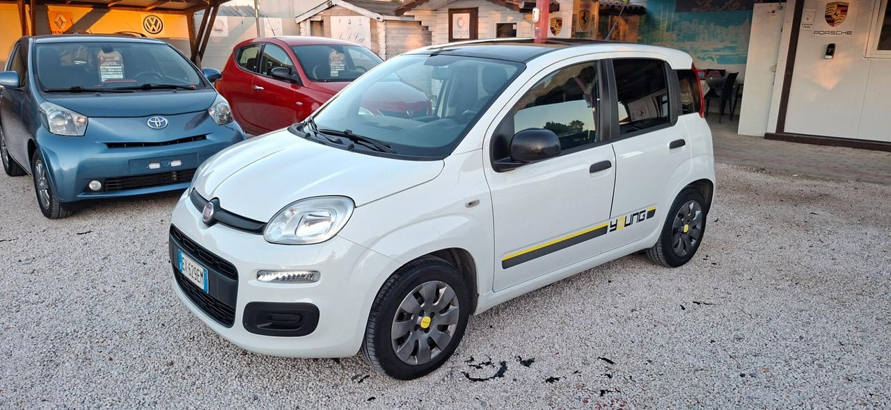 Fiat Panda 1.2 GPL DELLA CASA SCADENZA 2034 KIT DISTRIBUZIONE SOSTITUITA CON TAGLIANDO