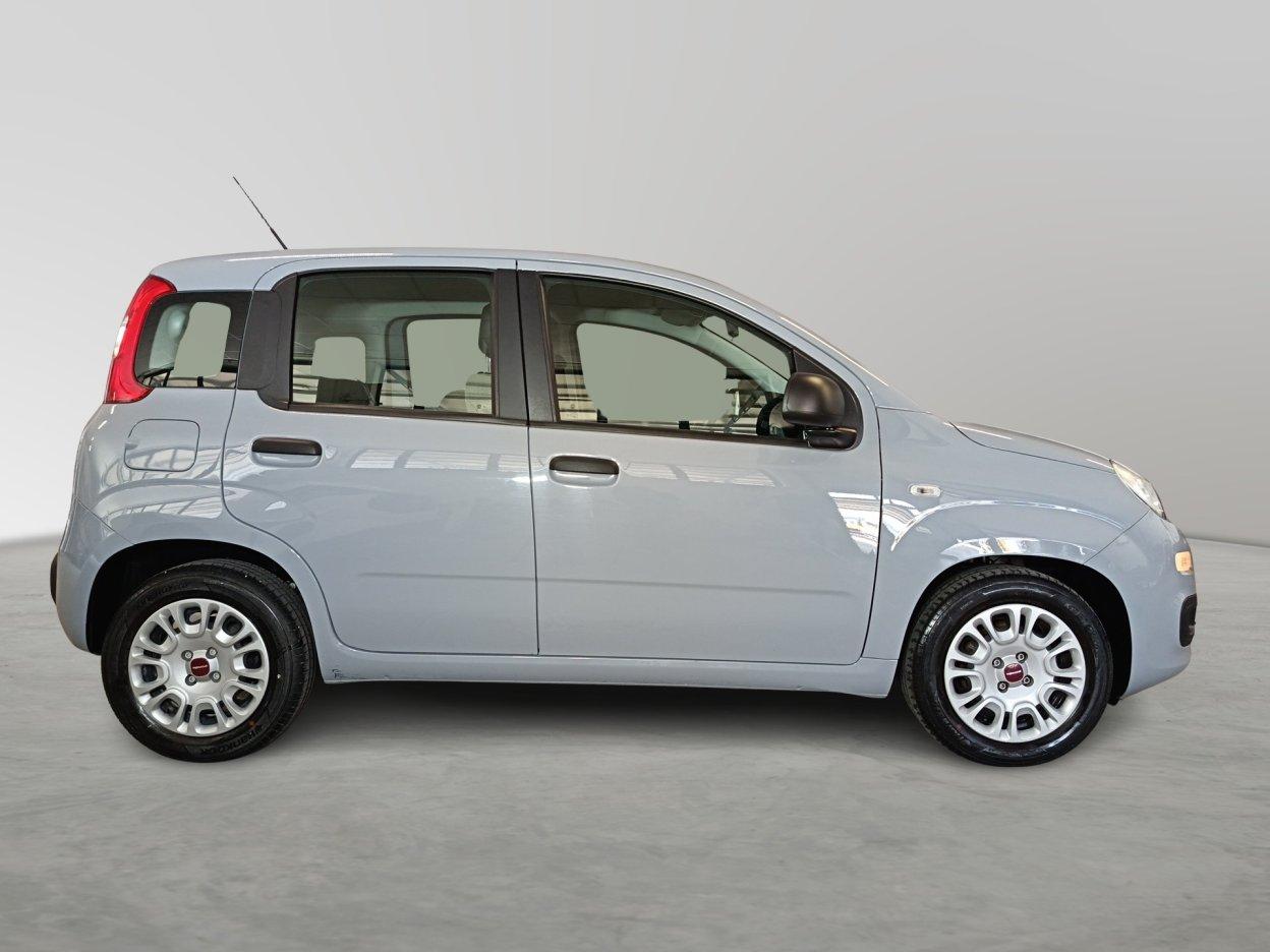 FIAT Panda 3ª serie - Panda 1.0 FireFly S&S Hybrid