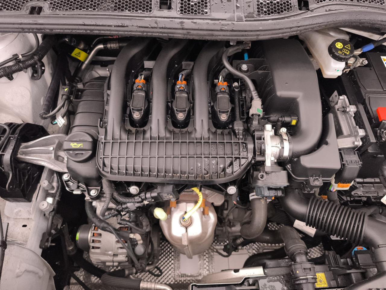 OPEL Corsa VI 2020 - Corsa 1.2 Blitz Edition s&s 75cv