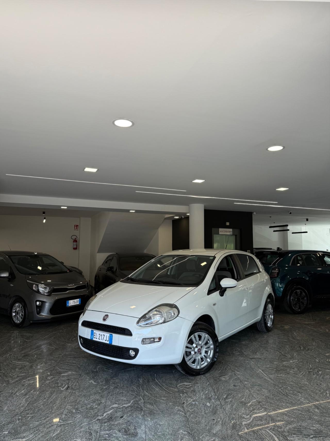 Fiat Punto 1.4 8V 5 porte Natural Power Pop