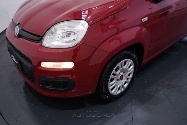 FIAT Panda 1.2 69cv Easy