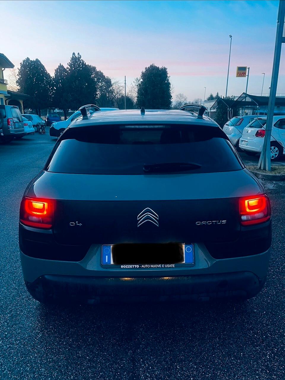 Citroen C4 Cactus BlueHDi 100 Shine