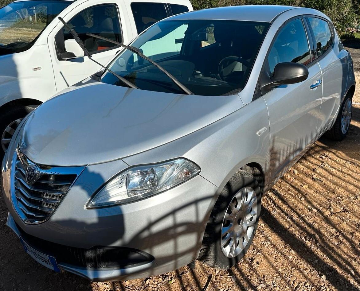 Lancia Ypsilon 1.3 MJT 16V 95 CV 5 porte Elefantino CLIMA MULTIFUNZIONE PDC