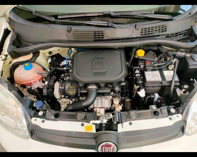 FIAT New Panda 1.0 firefly hybrid s&s 70cv 5p.ti