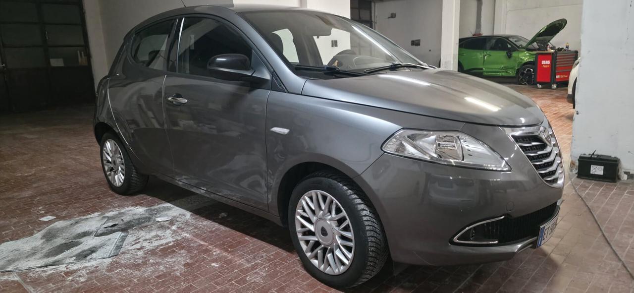 Lancia Ypsilon 1.3 MJT 16V 95 CV 5 porte S&S Platinum