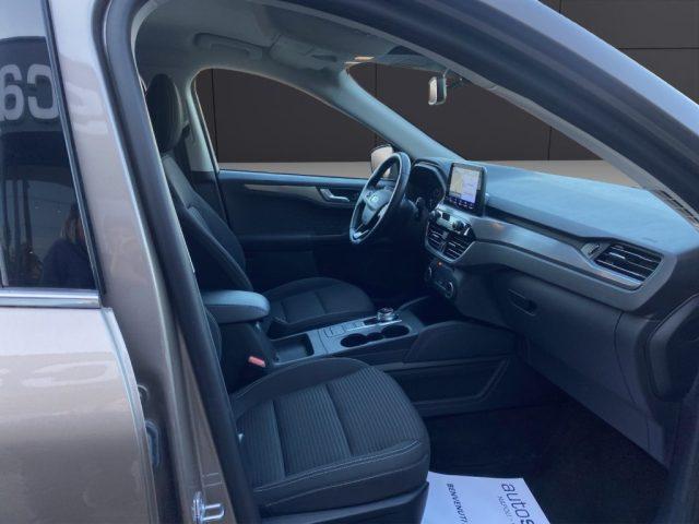 FORD Kuga 1.5 EcoBlue 120 CV 2WD Titanium