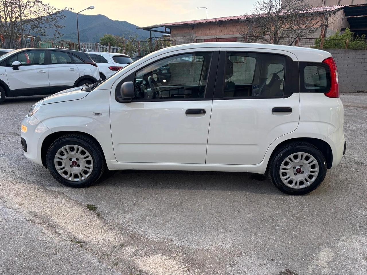 Fiat Panda 1.2 Easy 2019