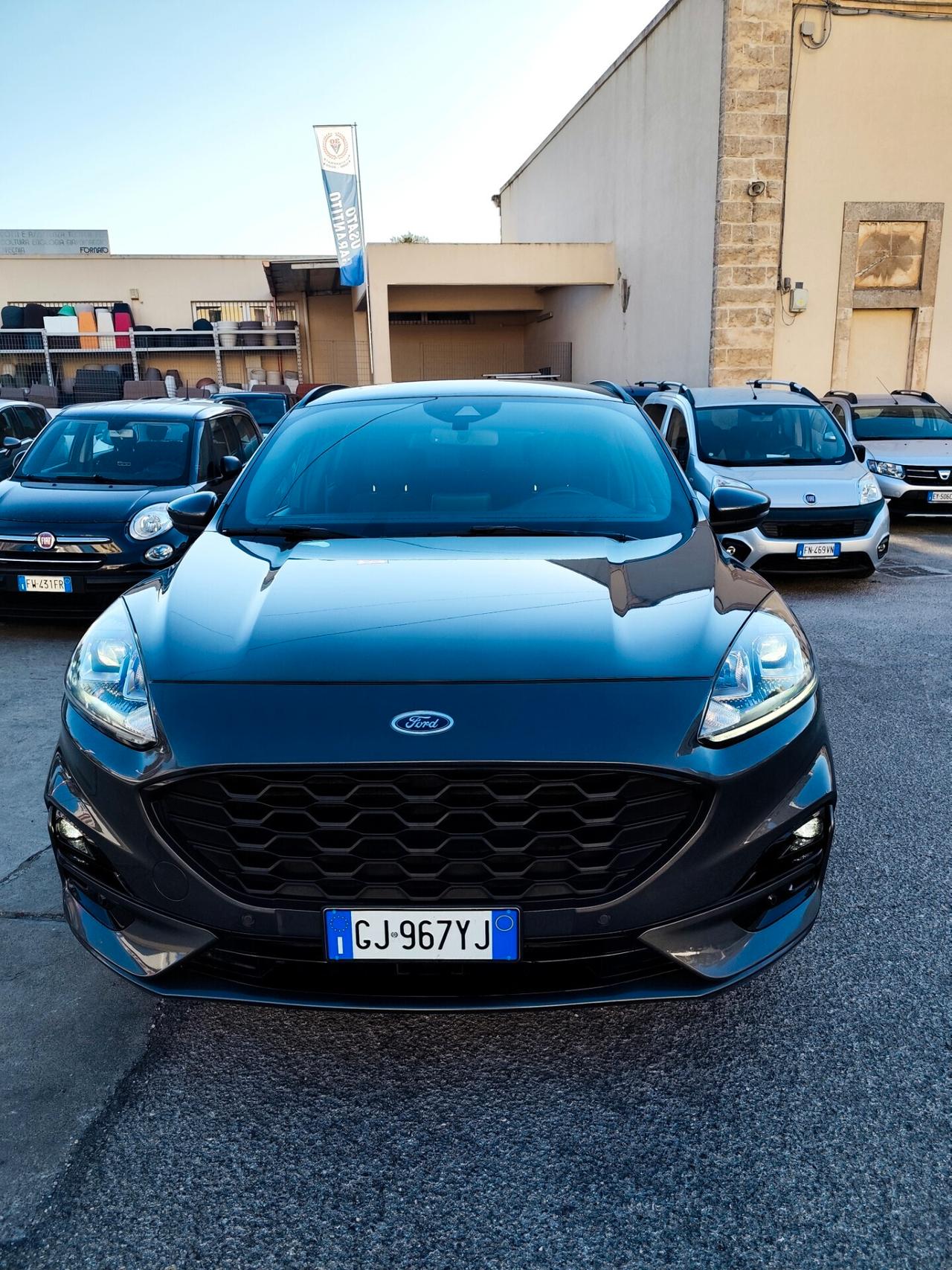 Ford Kuga 2.0 EcoBlue Hybrid 150 CV 2WD ST-Line