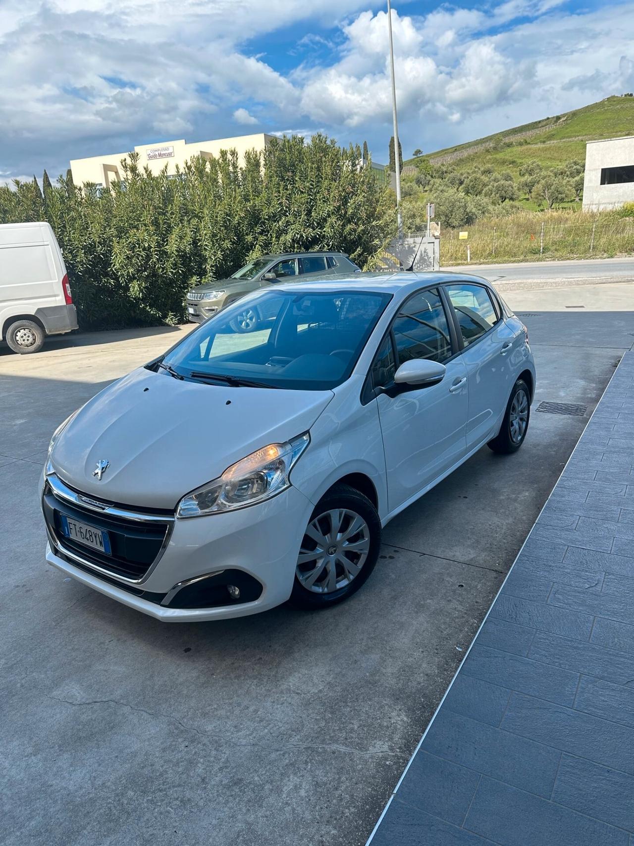 Peugeot 208 BlueHDi 100 S&S 5 porte Van Active