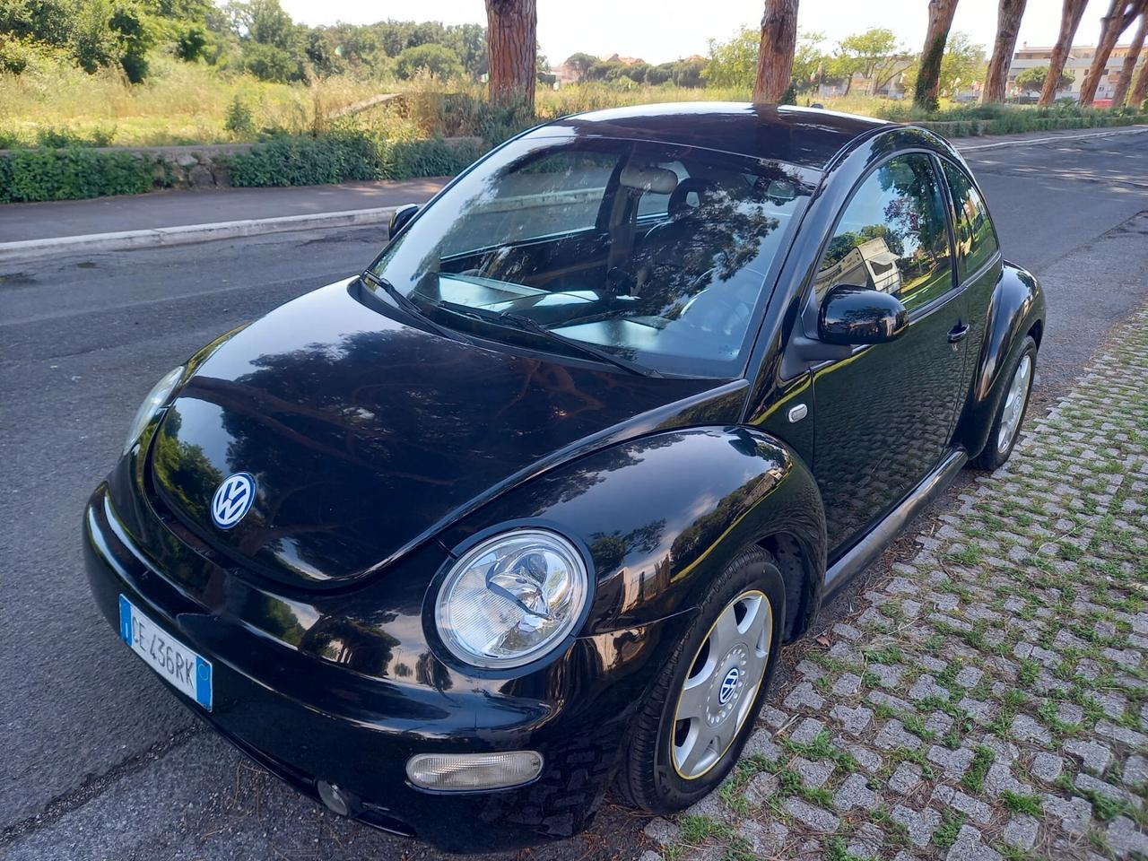 NEW BEETLE ISCRITTA ASI