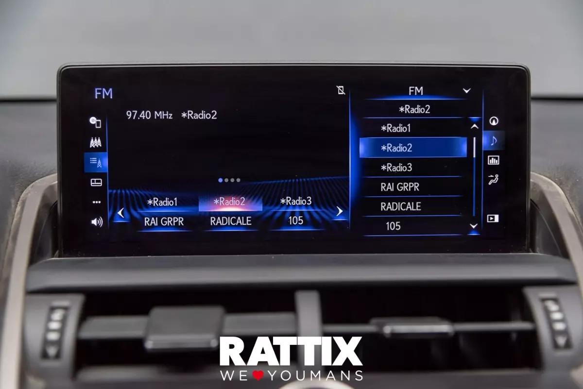 Lexus NX 300h 2.5 Hybrid Business CVT