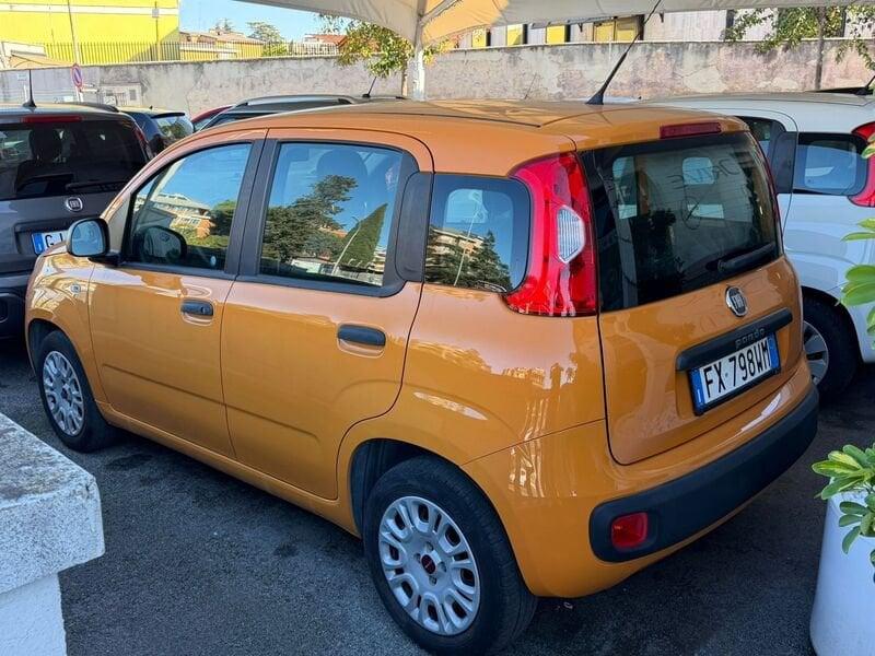 FIAT Panda Panda 1.2 Easy s&s 69cv my19