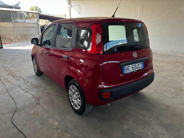 FIAT Panda 1.0 FireFly S&S Hybrid Icon