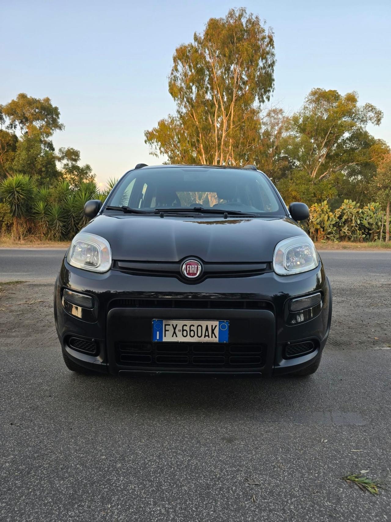 Fiat Panda 0.9 TwinAir Turbo S&S 4x4