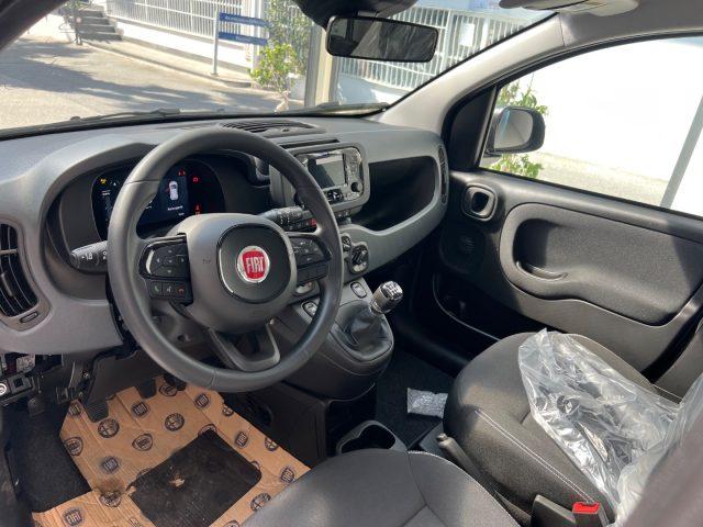 FIAT Panda 1.0 FireFly S&S Hybrid Icon tua da ?149,,00