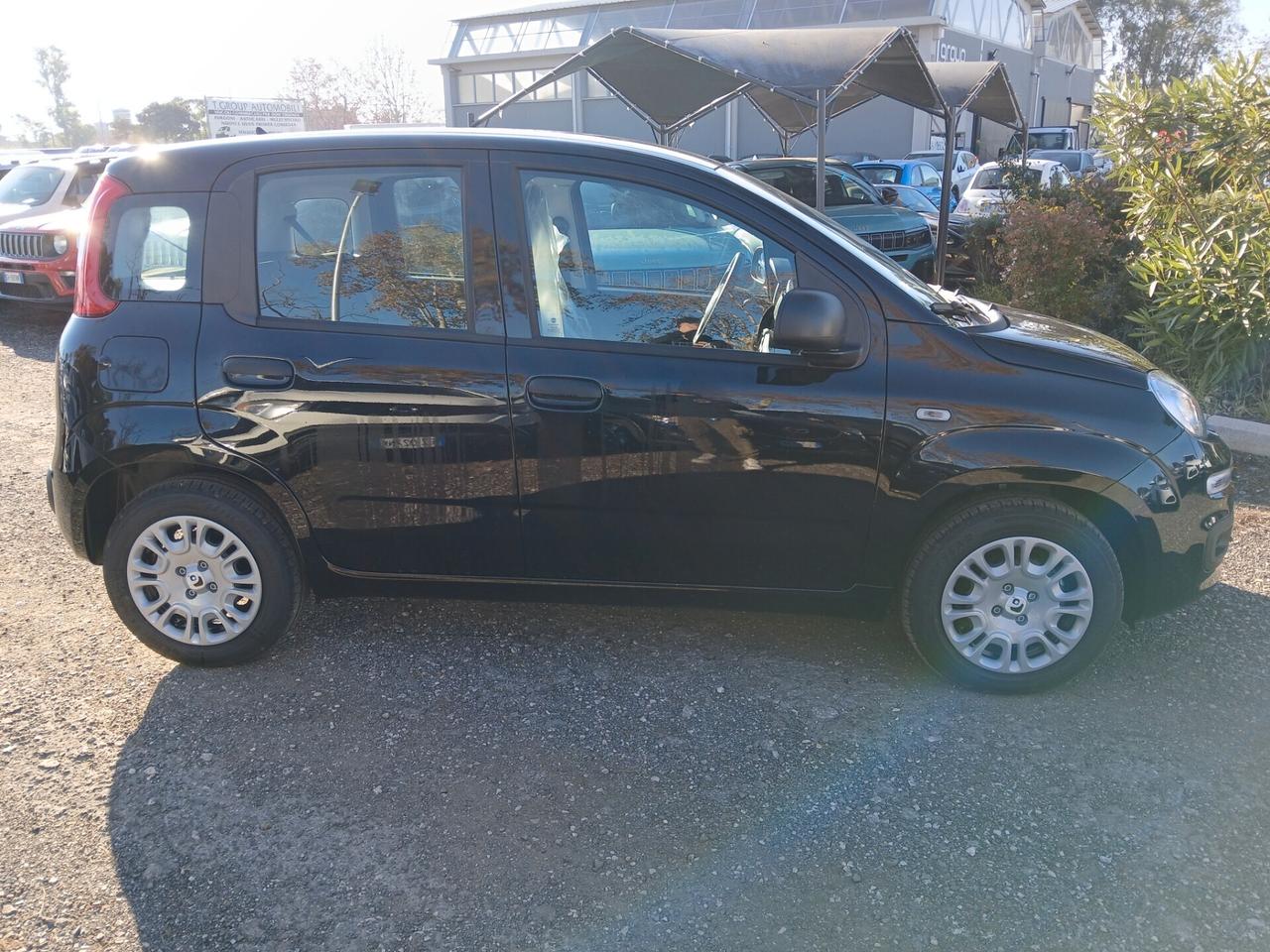 Fiat Panda 1.0 FireFly S&S Hybrid Pandina