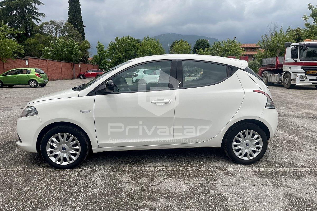LANCIA Ypsilon 1.2 69 CV 5 porte GPL Ecochic Elefantino