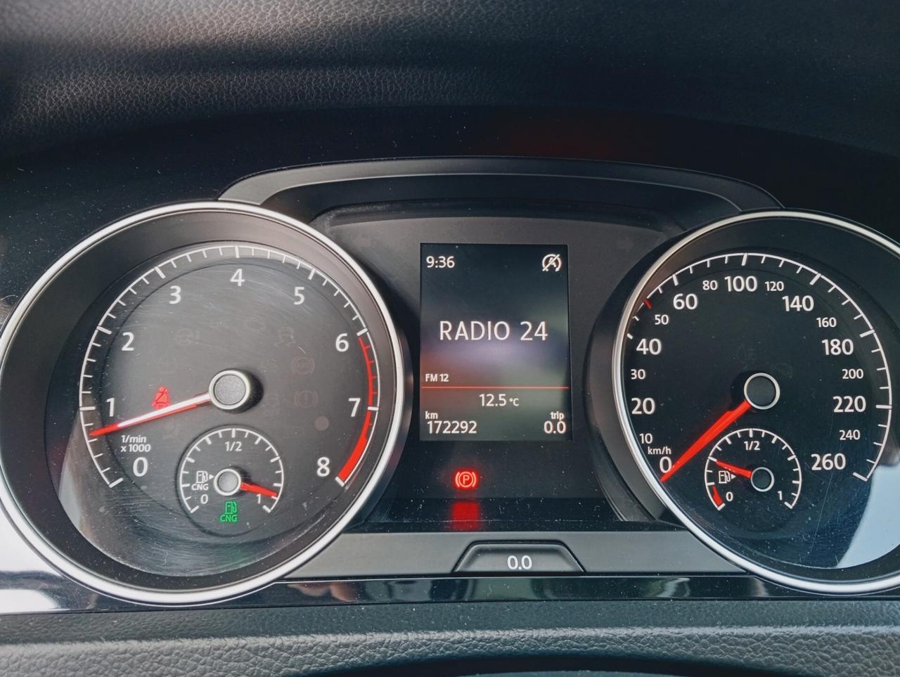 Volkswagen Golf 7 1.4 metano TGI 5p. Highline BlueMotion