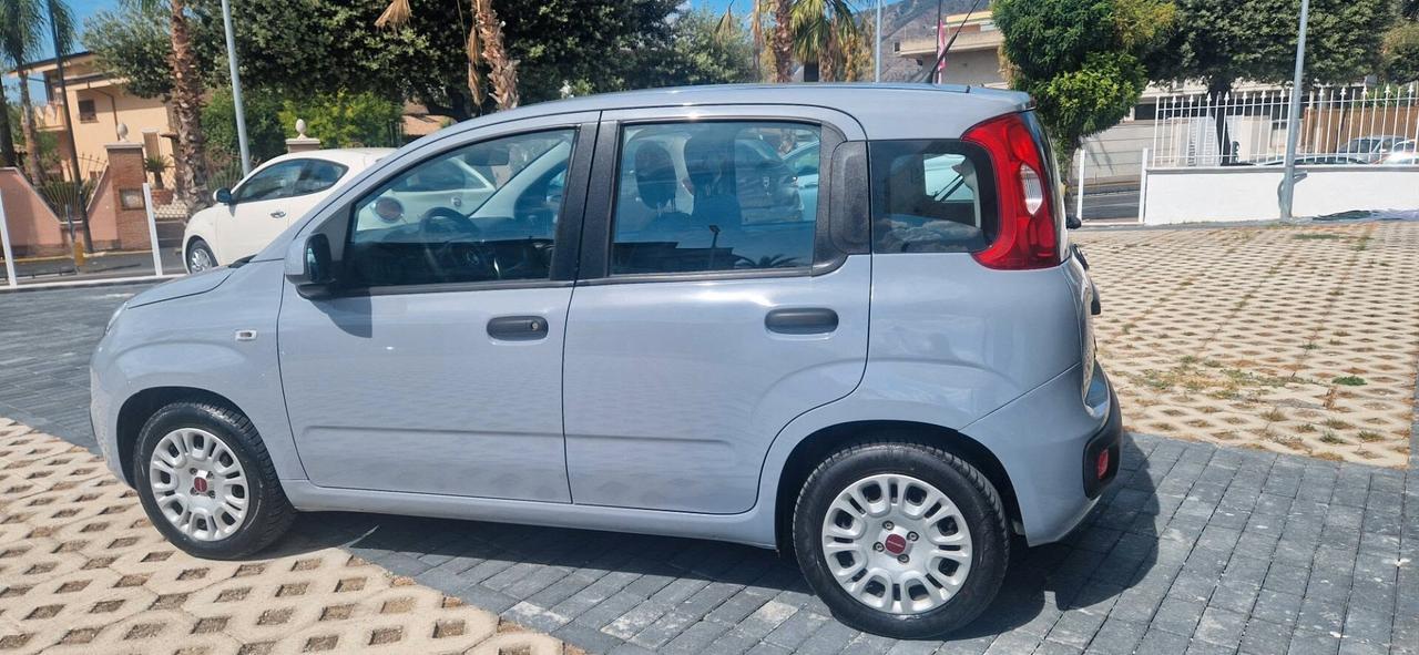 Fiat Panda 1.2 GPL ANNO 11/2019 KM 85000 UFFICIALE ITALIANA