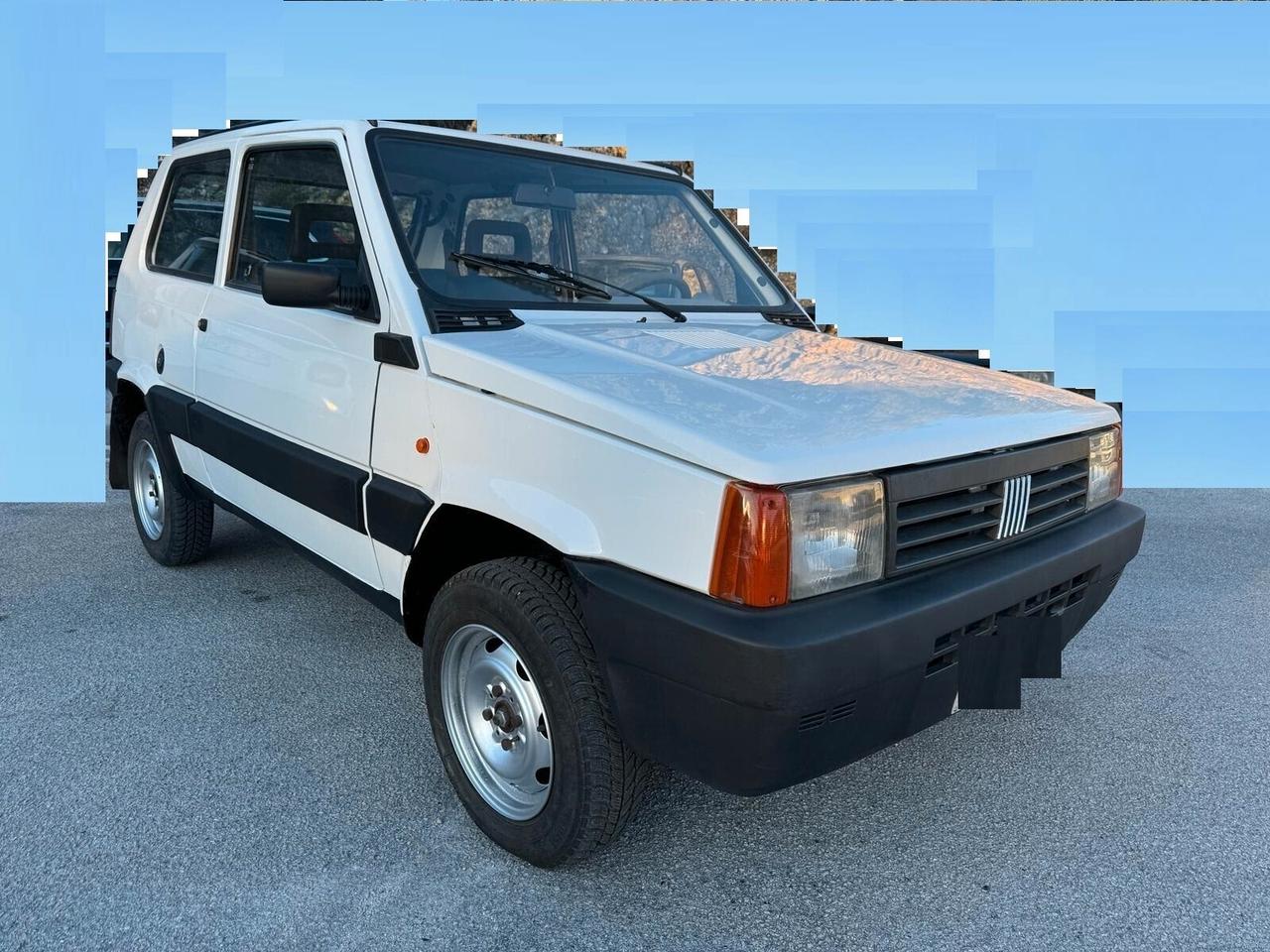 FIAT PANDA 1100 i.e. cat 4x4 INSERIBILE