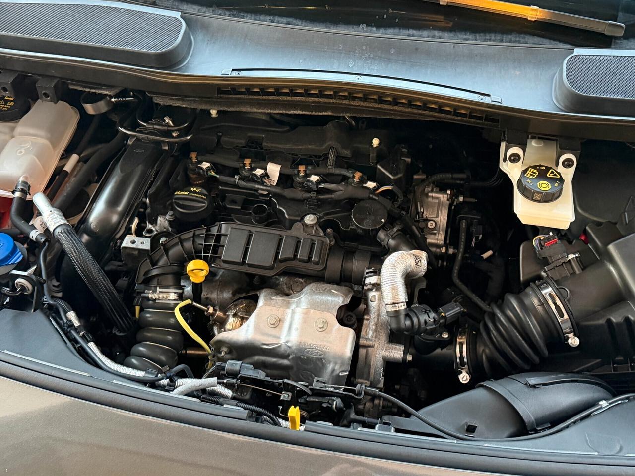 Ford Tourneo Connect 1.5 TDCI 120 cv. ACTIVE (Nav)