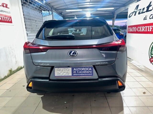 Lexus UX 250h HYBRID BUSINESS 2WD