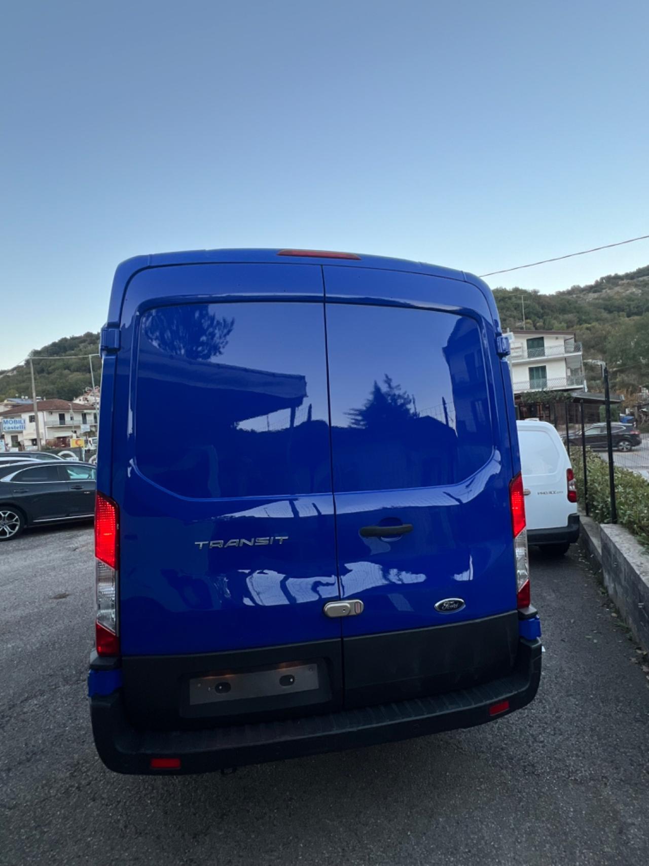 Ford Transit 290 2.0TDCi EcoBlue PM-TM Furgone