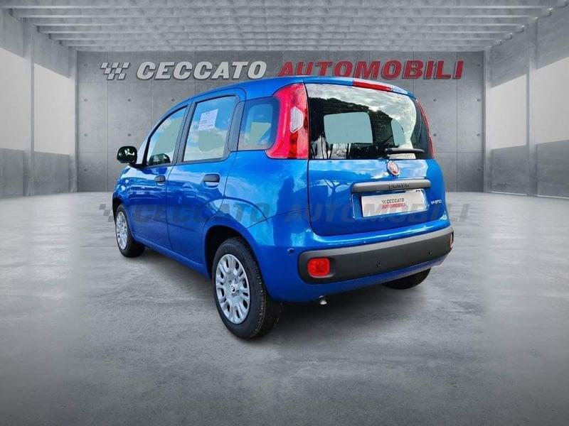 FIAT Panda Panda 1.0 firefly hybrid s&s 70cv