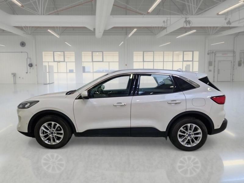 FORD KUGA 1.5 ECOBLUE 120 CV 2WD TITANIUM BUS. AUTO SUV