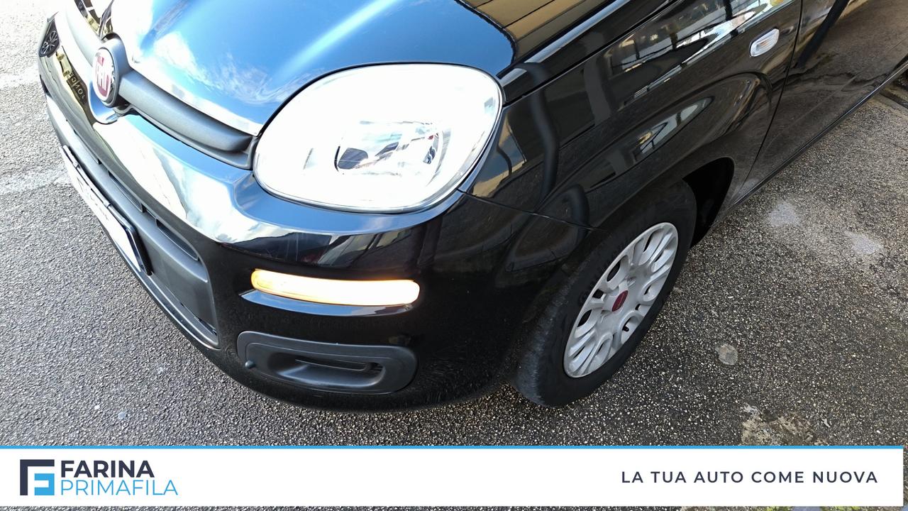 FIAT Panda III 2021 - Panda 1.0 firefly hybrid s&s 70cv