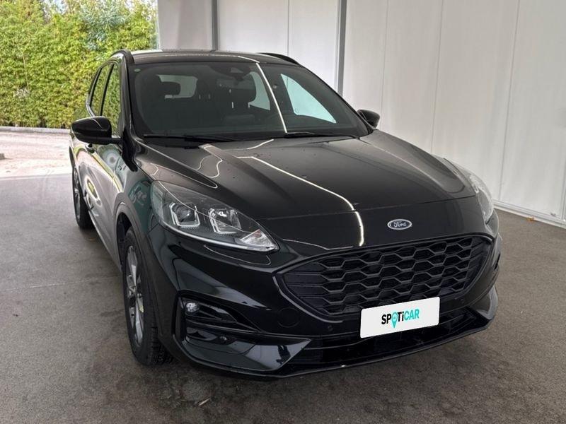 Ford Kuga 1.5 EcoBlue 120CV 2WD ST-Line