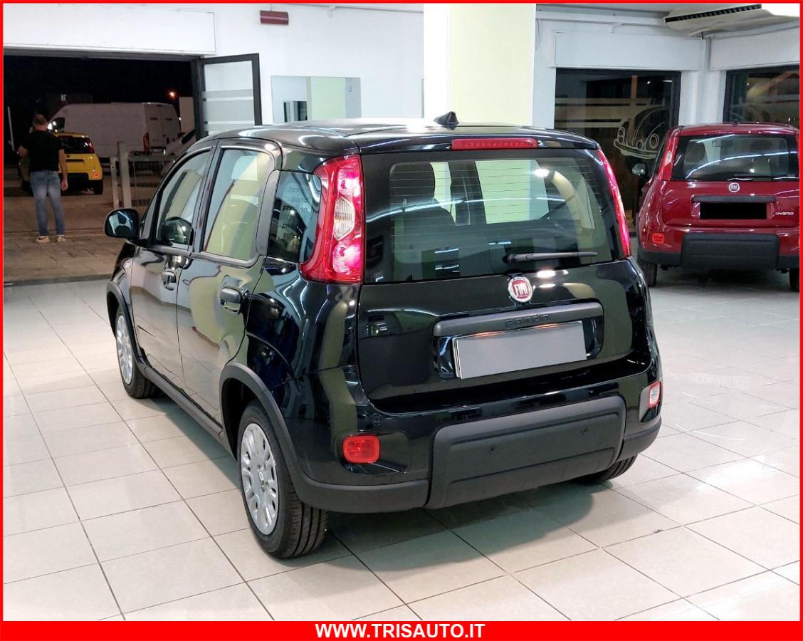 FIAT Panda 1.0 FireFly S&S Hybrid MY24 KM ZERO!!! IVATA NEOPATENTATI