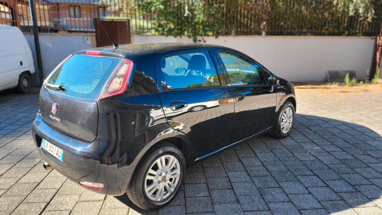 Fiat Punto 1.2 8V 5 porte Street