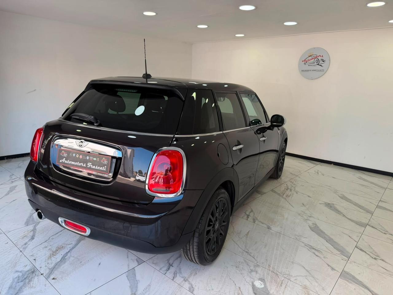 Mini 1.5 One D-GARANTITA-2015