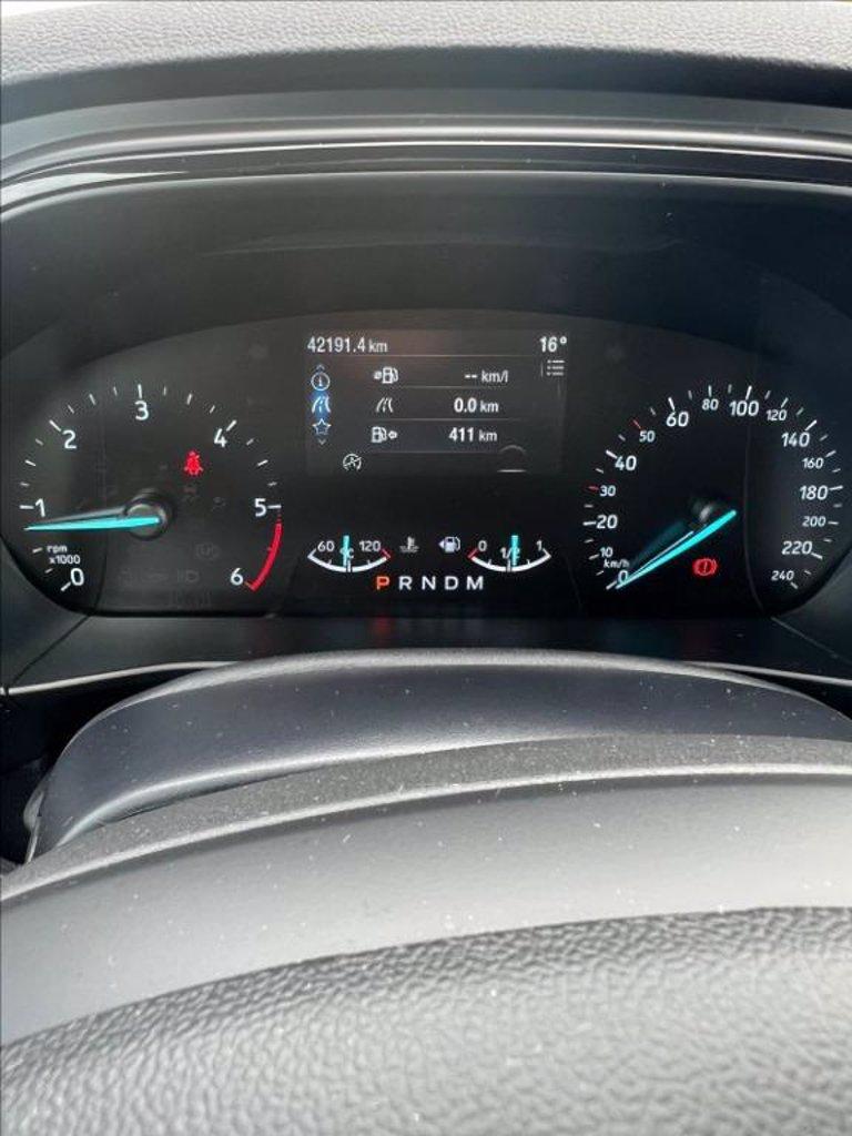 FORD Focus 1.5 ecoblue ST-Line Style 115cv auto del 2023