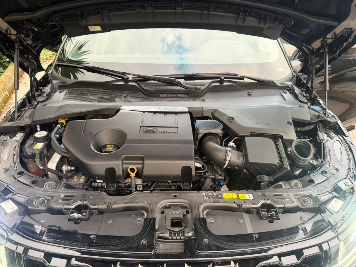 LAND ROVER - Range Rover Evoque - Evoque 2.0D 180 CV IBRIDO AWD Auto R-Dynamic