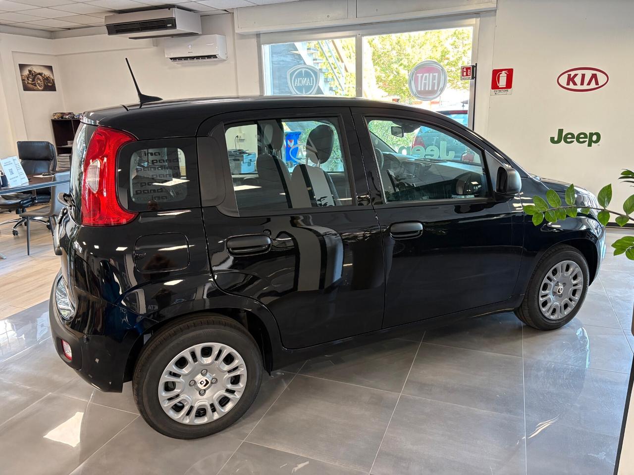 Fiat Panda La Pandina Icon 1.0 Hybrid Km0
