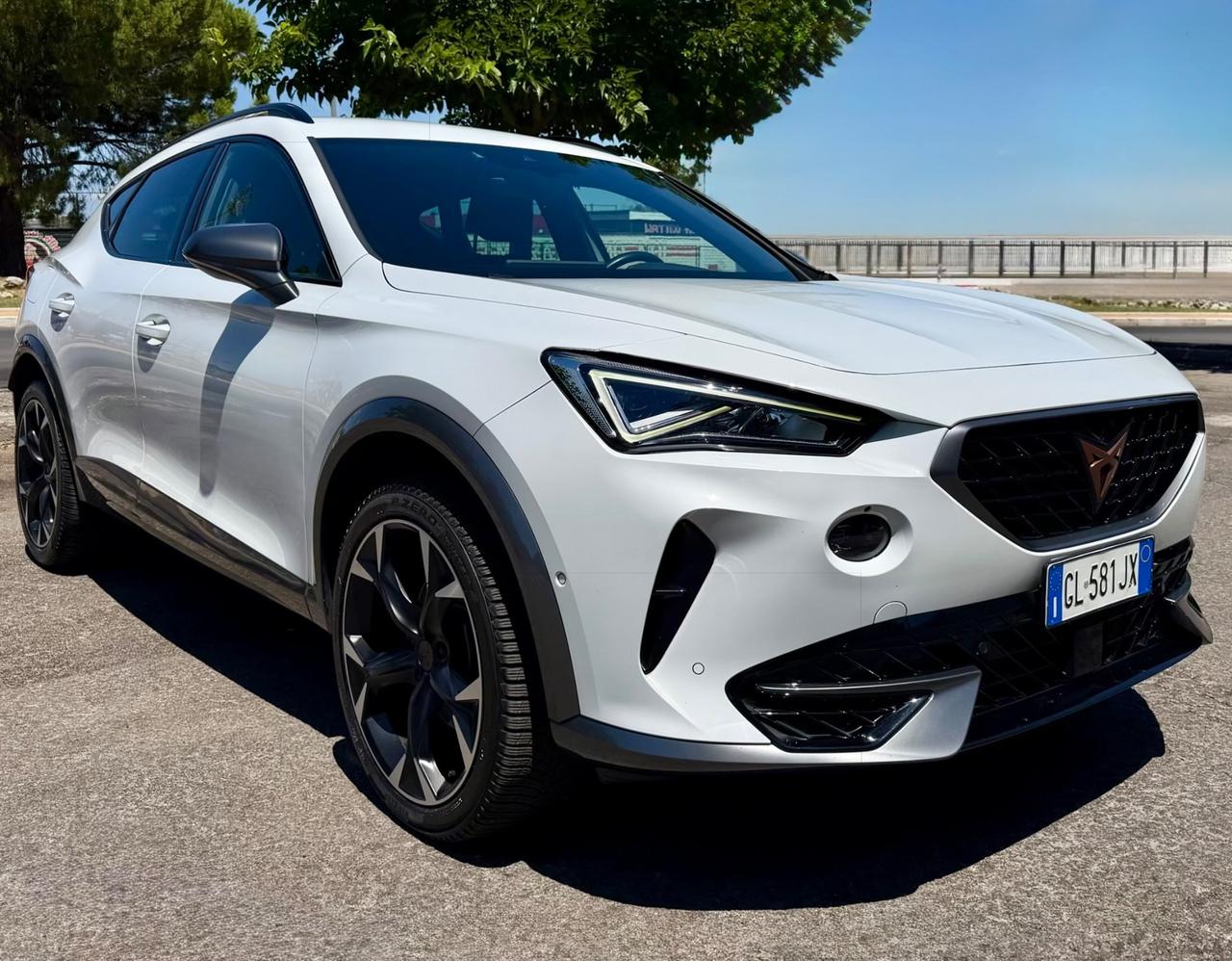 Cupra Formentor 2.0 Tdi 150CV VIRTUAL/CERCHI 19