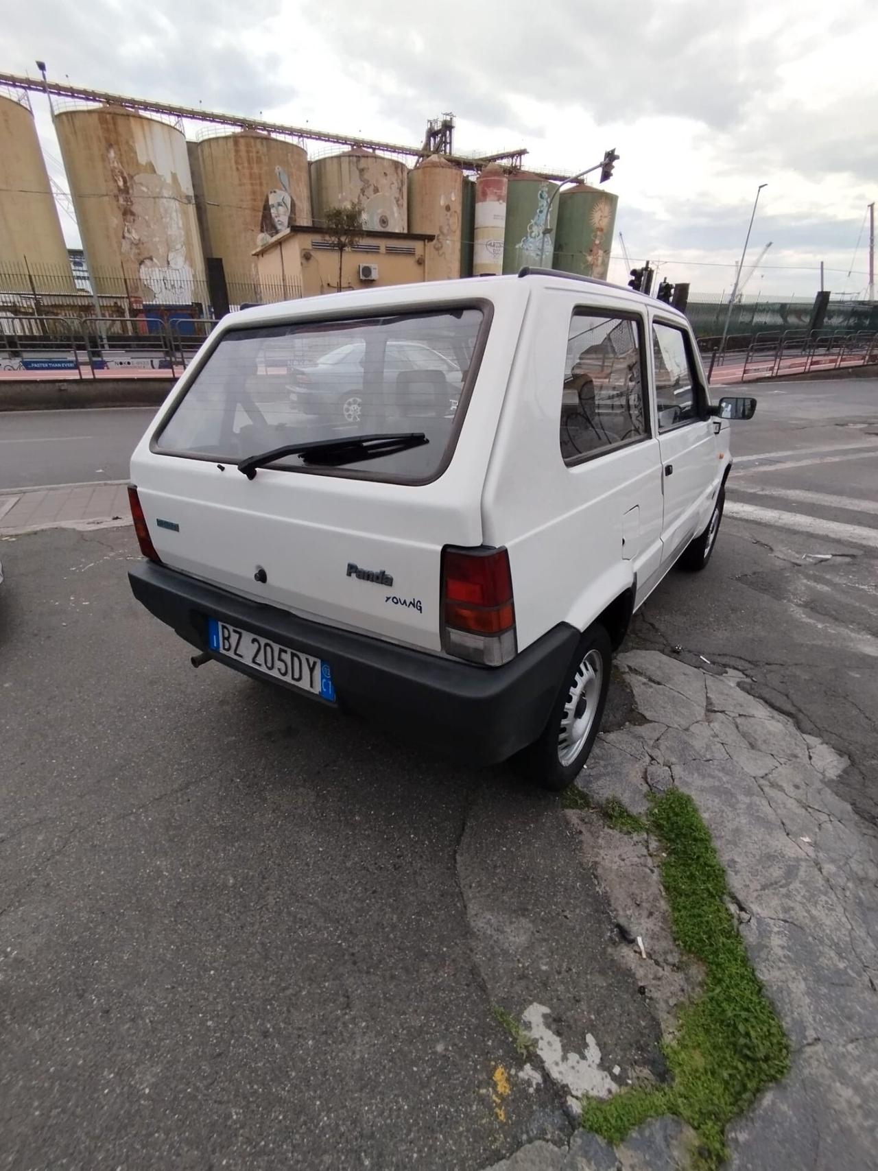 Fiat Panda 1100 i.e. cat Young
