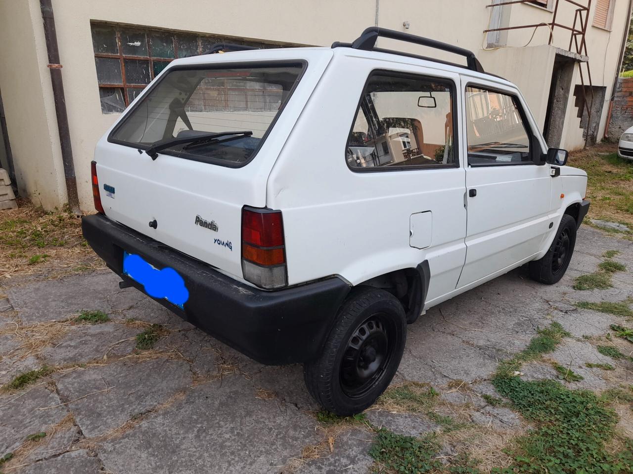 Fiat Panda 1100 i.e. cat Young