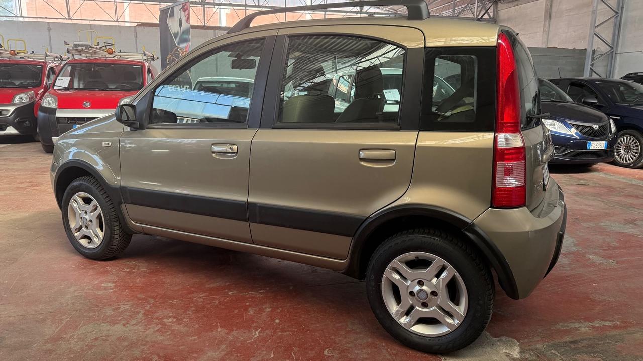 Fiat Panda 1.2 Climbing Natural Power