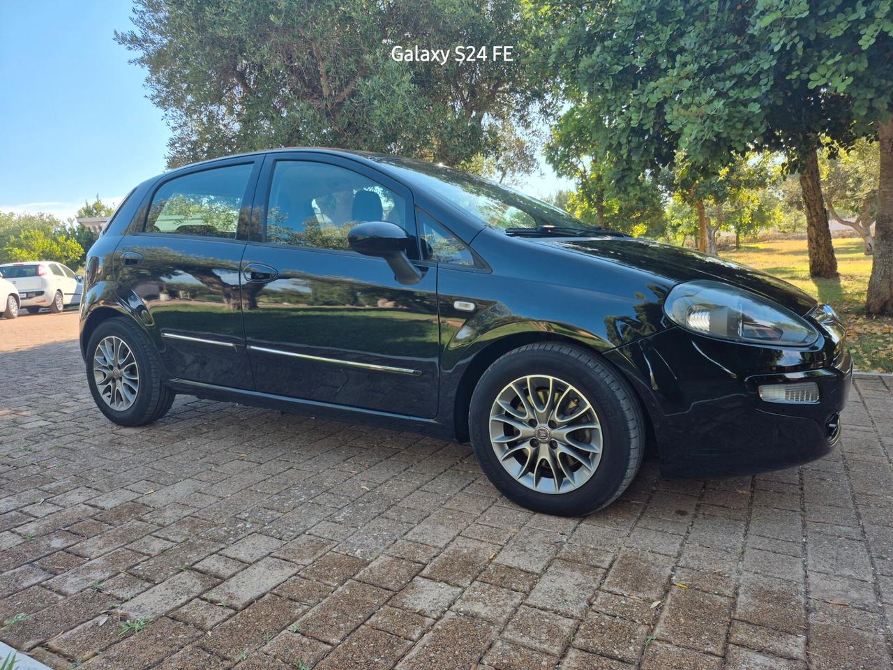 Fiat Punto Evo 1.3 Mjt 75 CV DPF 5 porte S&S Dynamic