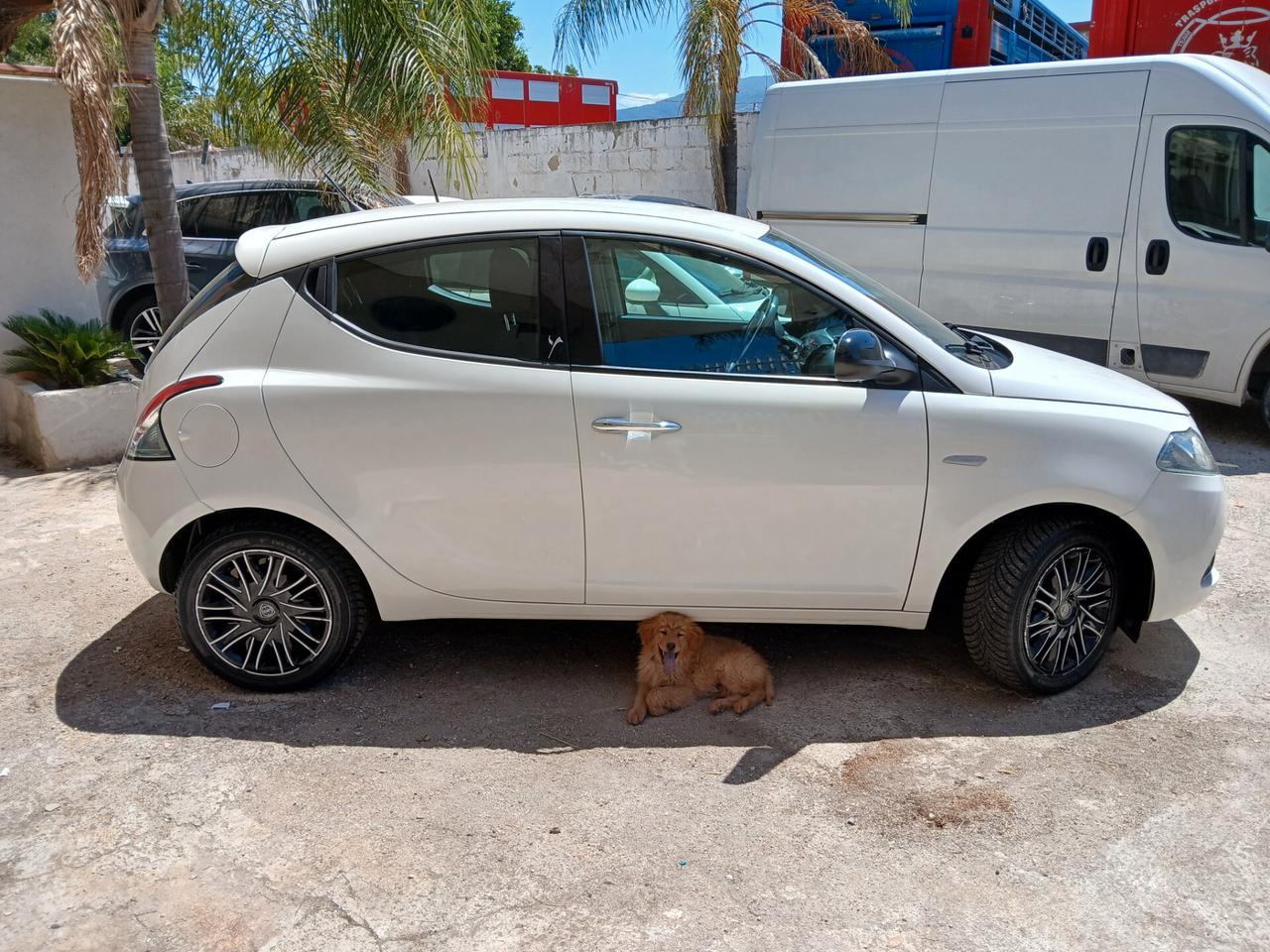 Lancia Ypsilon 1.2 69 CV 5 porte S&S Gold