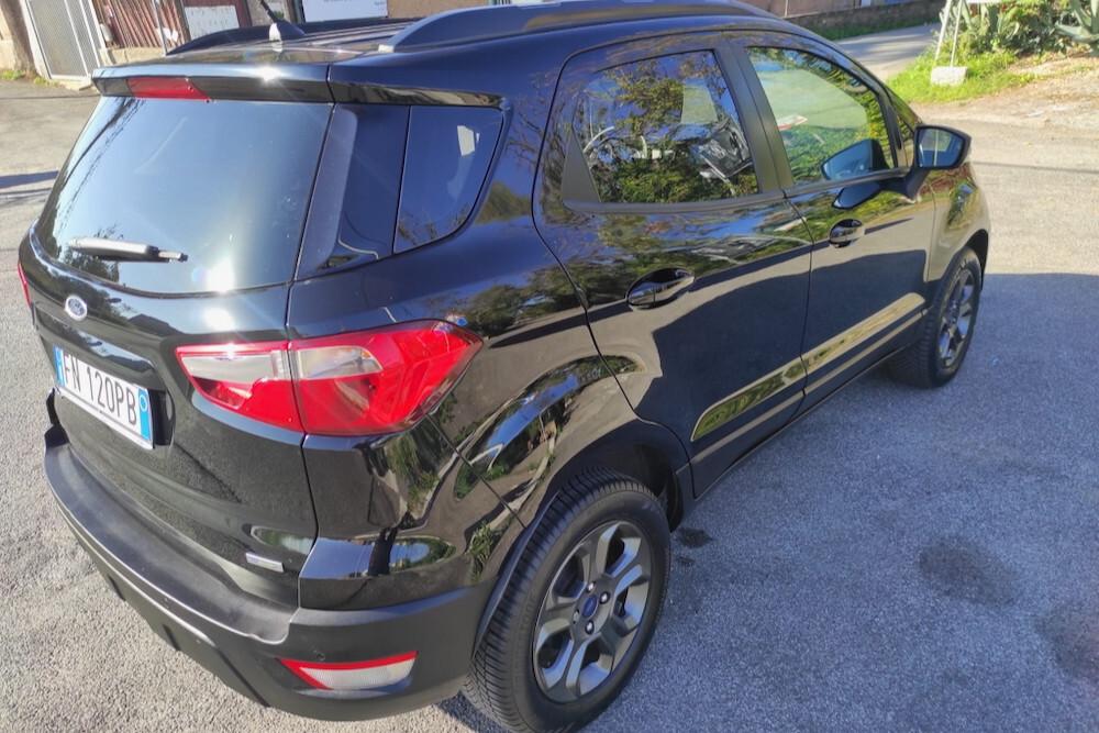 Ford EcoSport 1.0 EcoBoost 100 CV Business