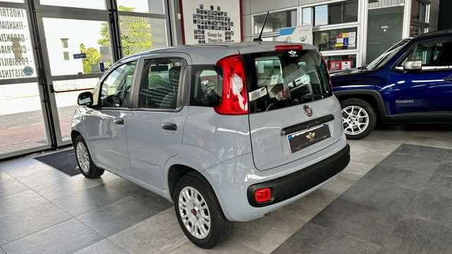 Fiat Panda 1.2 69CV E6d Temp S&S Easy + NEOPATENTATO