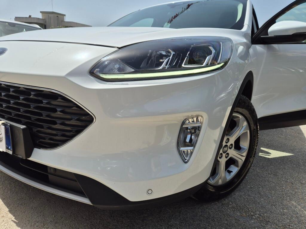 Ford Kuga 1.5 EcoBlue 120CV 2022 MANUALE