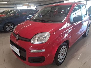 FIAT Panda III 2021 - Panda 1.0 firefly hybrid s&s 70cv