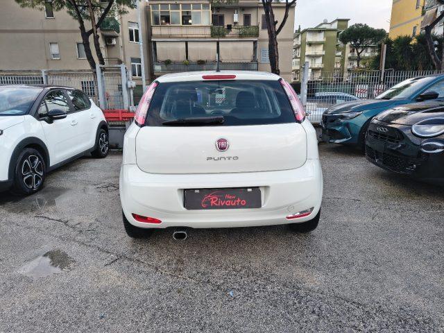 FIAT Punto 1.3 MJT II 75 CV 5 porte Street