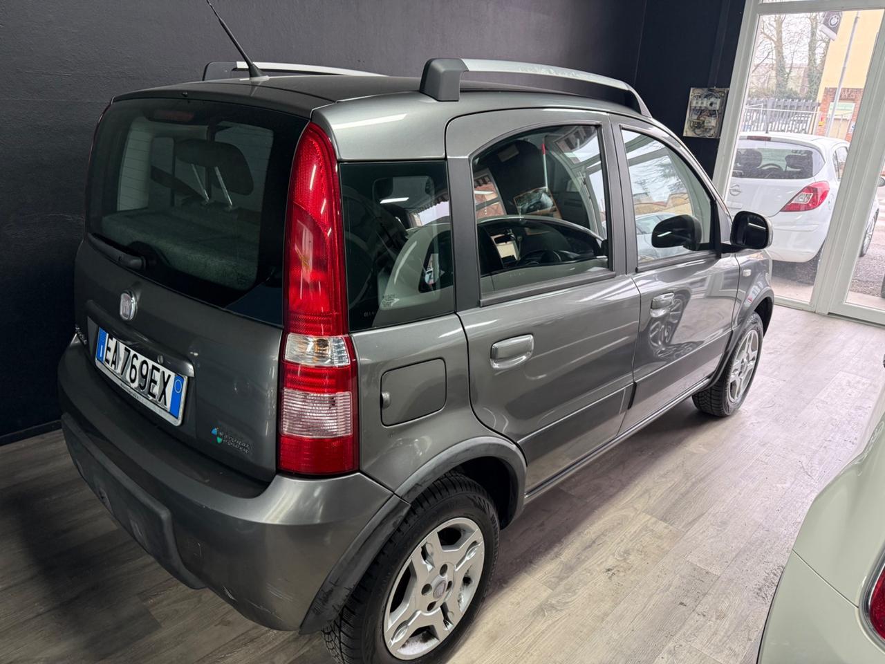 Fiat Panda 1.2 Climbing Natural Power